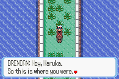 screenshots/Game Boy Advance/Pokemon - Emerald - Ruby - Sapphire/Pokemon Sapphire (Eng) 031.png